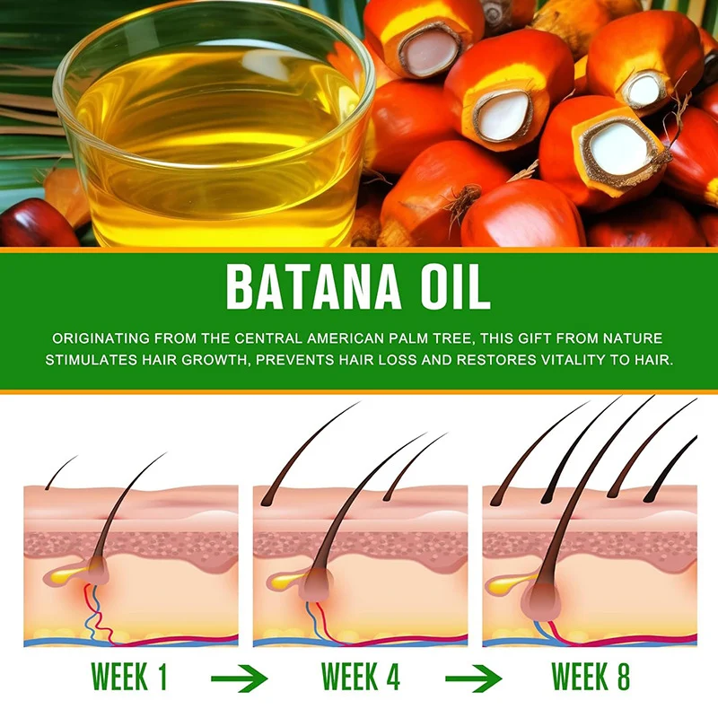Batana Oil 60ml 100% Pure Hair Growth Oil for Scalp & Hair Care 7 batana oil 100 pure hair growth sit w9kszuen desc 7